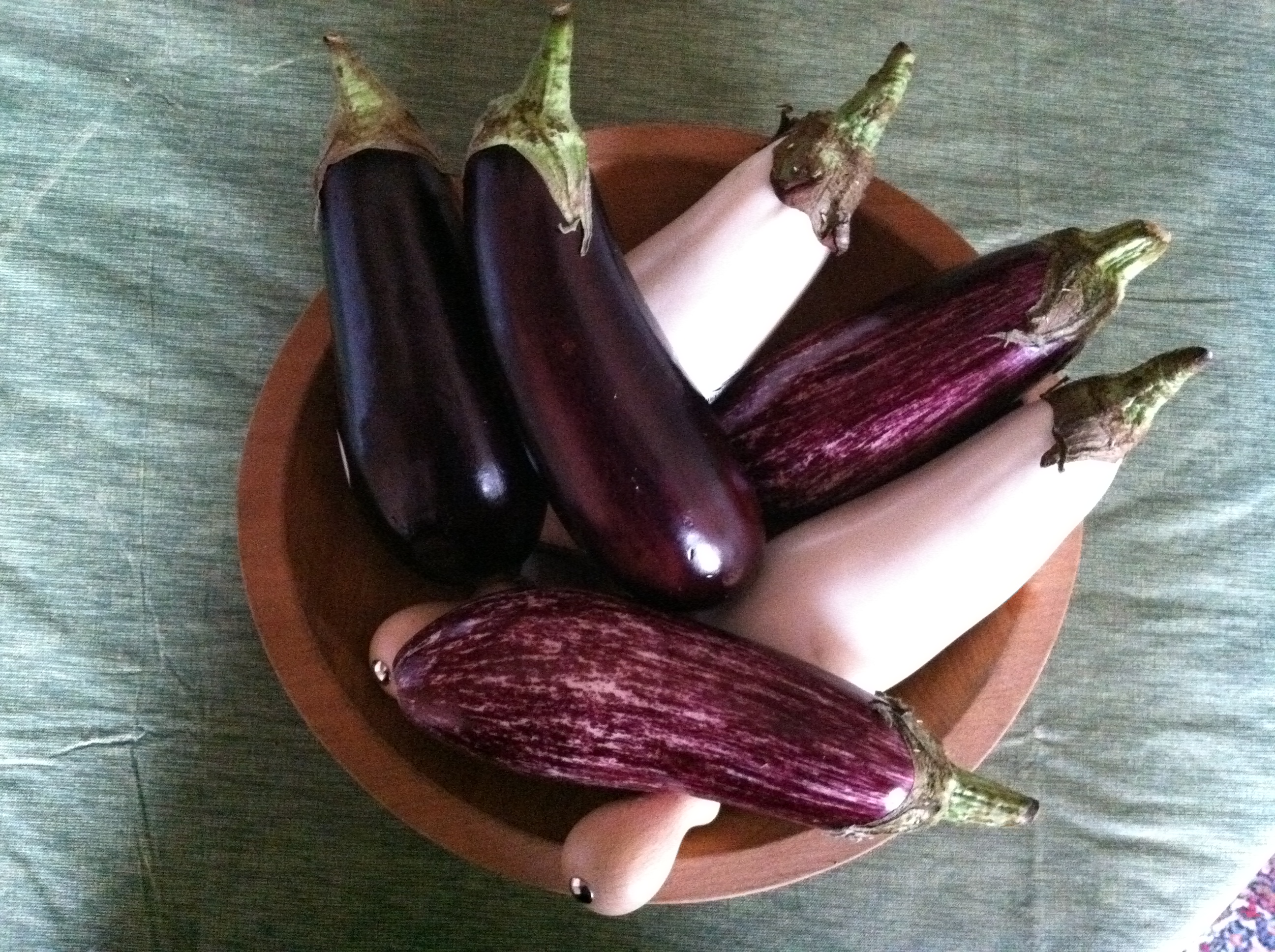 Eggplant Still Life Ruth E. Hendricks Photography