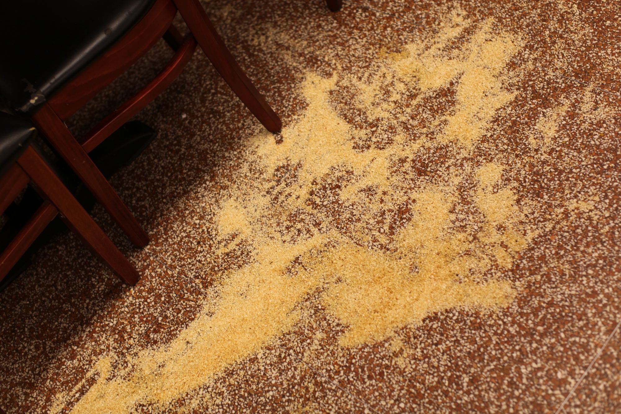 Sawdust on the Floor - Ruth E. Hendricks