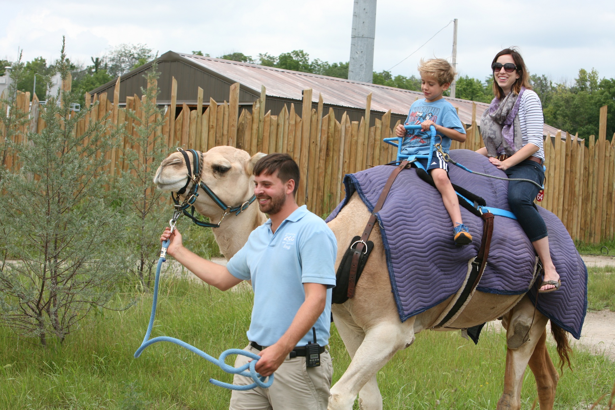 camel ride – Ruth E. Hendricks