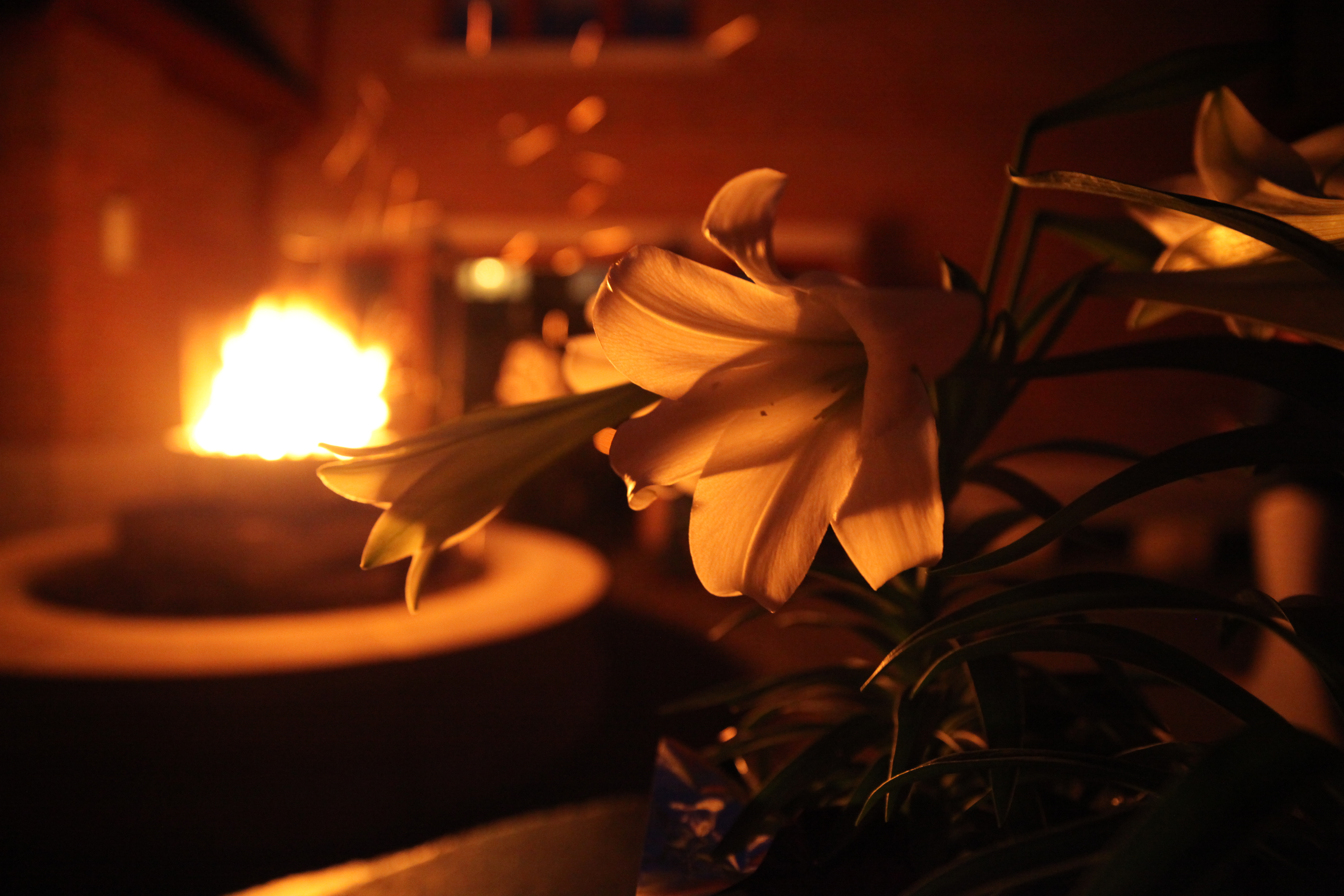 Lucernarium Easter Vigil St. Patrick Ruth E. Hendricks Photography