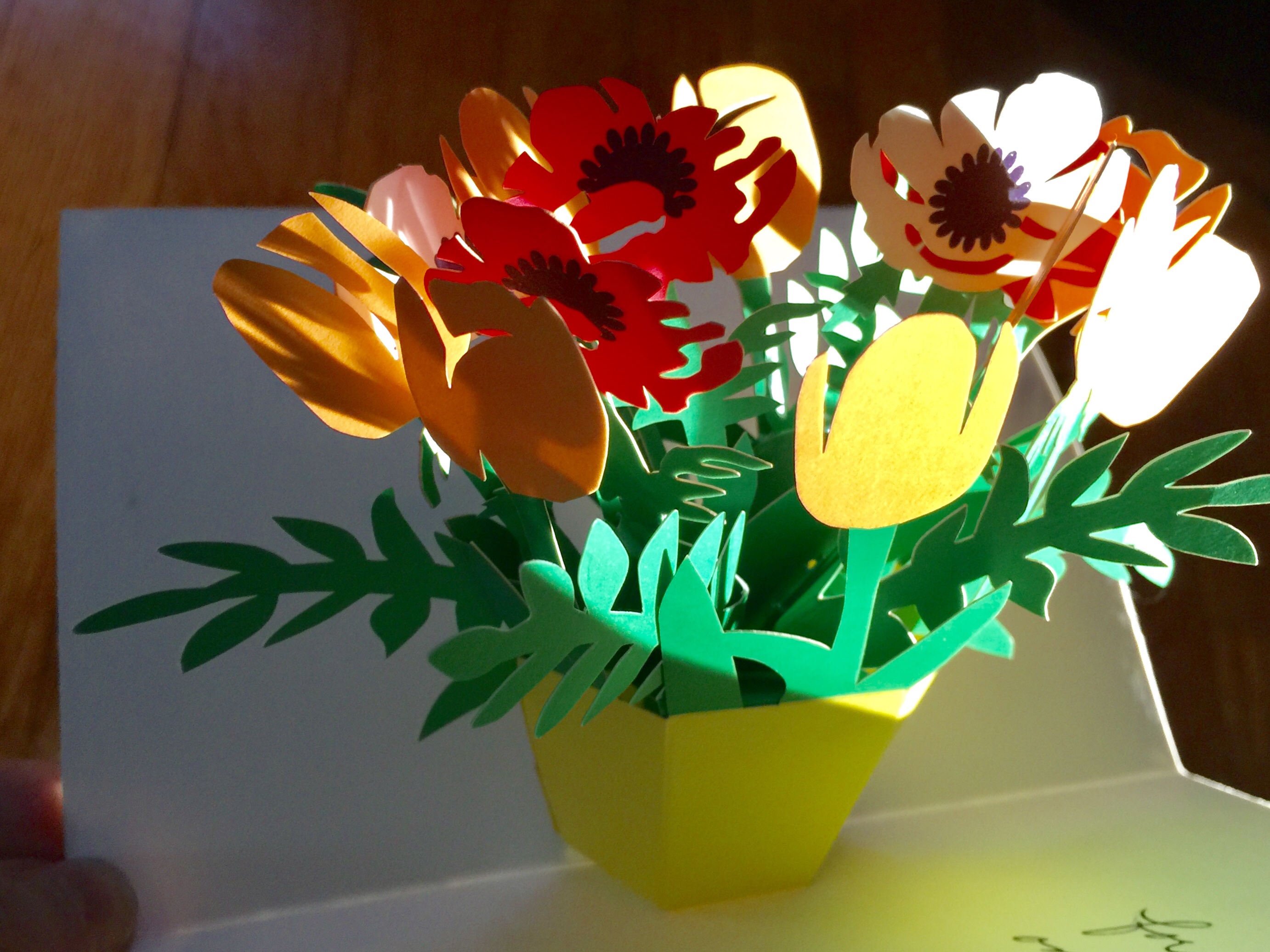 Paper Engineering – Ruth E. Hendricks Photography