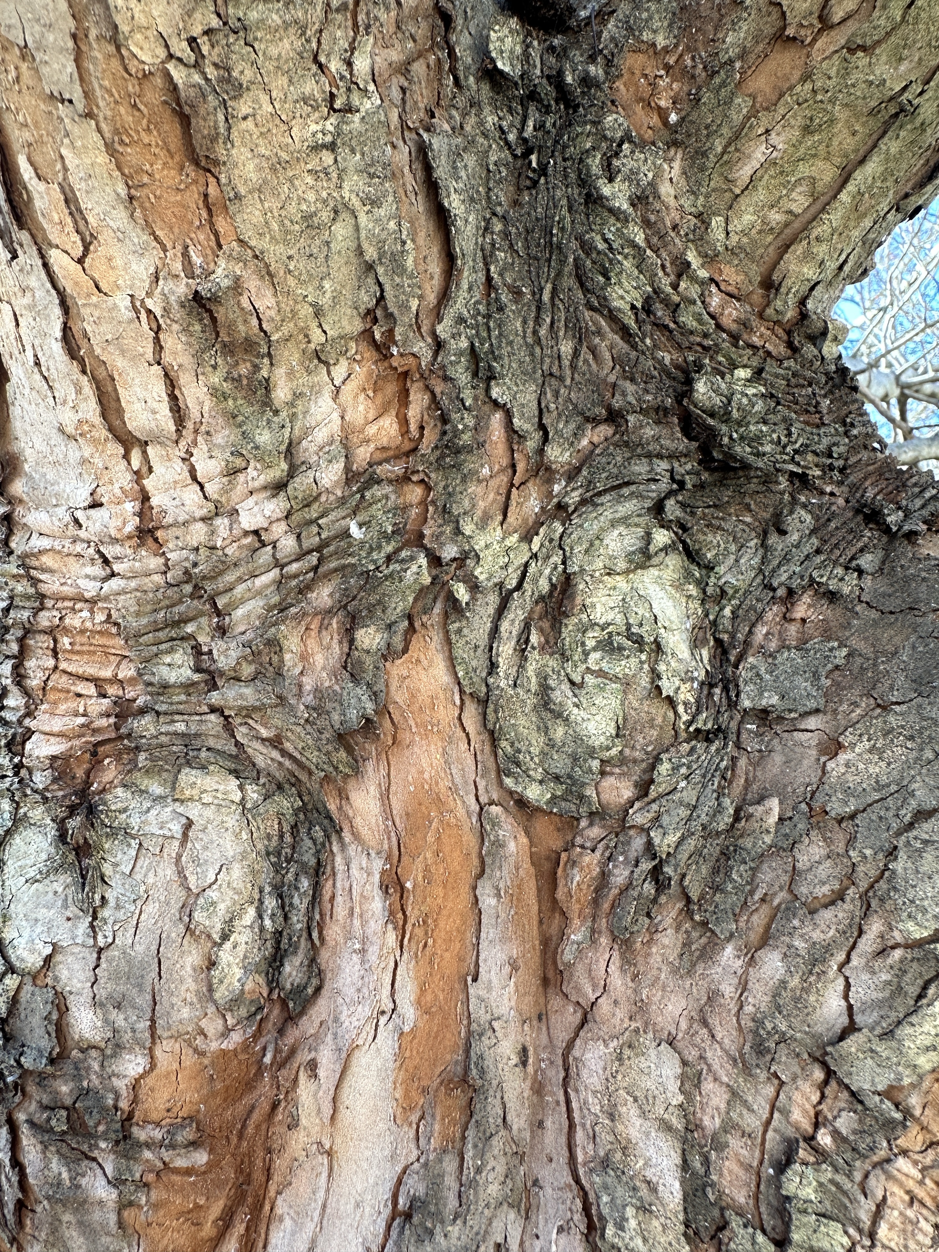 Little Rough A Little Rough – Ruth E. Hendricks