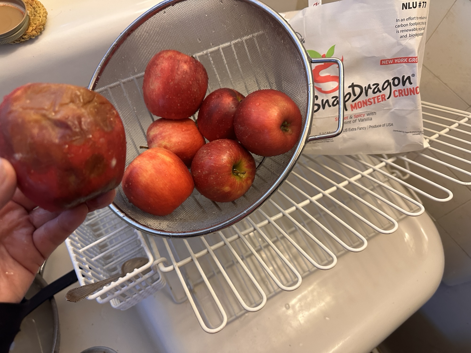 One Bad Apple – Ruth E. Hendricks